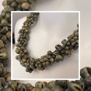 #5 Shell Necklace